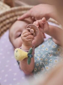 Hochets Mains Et Pieds DOUCE PROVENCE Violet - Douce Provence - Vertbaudet 13 Hochets Mains Et Pieds DOUCE PROVENCE Violet - Douce Provence - Vertbaudet -Jouets Pour Enfants hochets mains et pieds douce provence 5