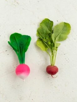 Jouet De Dentition Ramona Le Radis - OLI & CAROL Rose - Oli Et Carol -Jouets Pour Enfants jouet de dentition ramona le radis oli carol 5