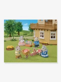 Les Frères Et Sœurs Husky Et Leur Tandem - SYLVANIAN FAMILIES Blanc - Sylvanian -Jouets Pour Enfants les freres et soeurs husky et leur tandem sylvanian families 2