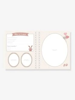 Livre De Naissance - Il était Une Fois Bébé LAROUSSE Bleu - Hachette -Jouets Pour Enfants livre de naissance il etait une fois bebe larousse 5