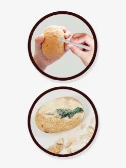 Maxi Pack 12 Oeufs Dinosaures - BUKI Orange - Buki -Jouets Pour Enfants maxi pack 12 oeufs dinosaures buki 2