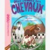 Mes Amis Les Chevaux - T.12 - Mystère Au Centre équestre - HACHETTE Blanc - Hachette -Jouets Pour Enfants mes amis les chevaux t.12 mystere au centre equestre hachette
