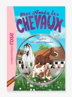 Mes Amis Les Chevaux - T.12 - Mystère Au Centre équestre - HACHETTE Blanc - Hachette