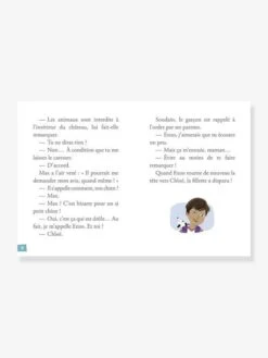 Mes Premières Enquêtes - T.1 - Le Fantôme Du Château - AUZOU Marron - Auzou -Jouets Pour Enfants mes premieres enquetes t.1 le fantome du chateau auzou 2