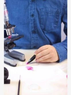 Microscope - 30 Expériences BUKI Rouge - Buki 12 Microscope - 30 Expériences BUKI Rouge - Buki -Jouets Pour Enfants microscope 30 experiences buki 4