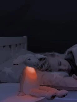 Peluche Veilleuse Et Liseuse Fin Le Mouton ZAZU Gris - Toutes Les Marques 9 Peluche Veilleuse Et Liseuse Fin Le Mouton ZAZU Gris - Toutes Les Marques -Jouets Pour Enfants peluche veilleuse et liseuse fin le mouton zazu 3